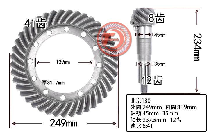 盆角齿