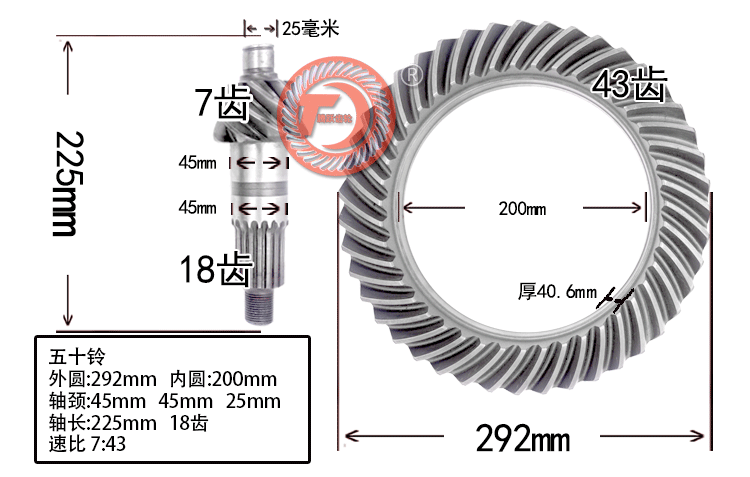 盆角齿